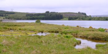Hagavík við Þingvallavatn